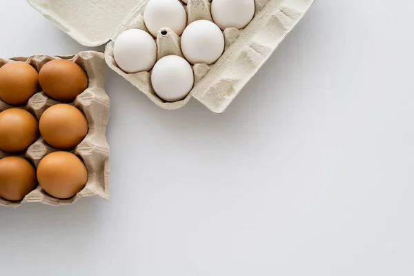Вид сверху органических яиц в картонных контейнерах на белом фоне — стоковое фото