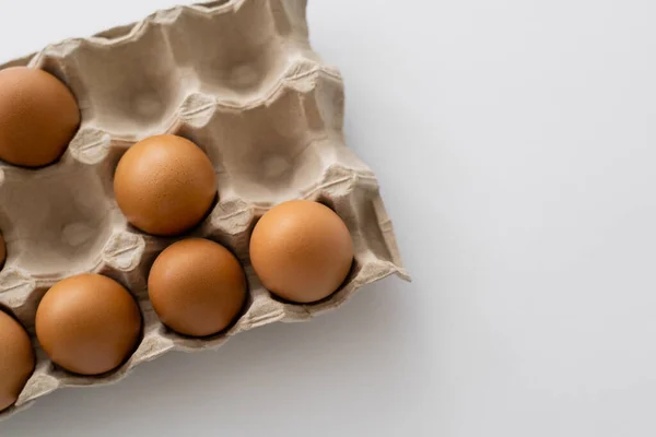 Top view of organic brown eggs in container on white background — Stock Photo