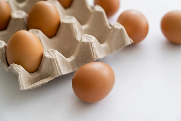 Vista de perto do ovo de galinha marrom perto da bandeja borrada no fundo branco — Fotografia de Stock