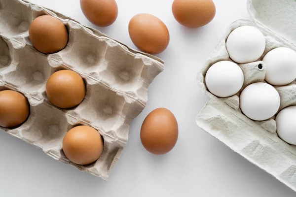 Vista superior de huevos naturales y envases de cartón sobre fondo blanco - foto de stock