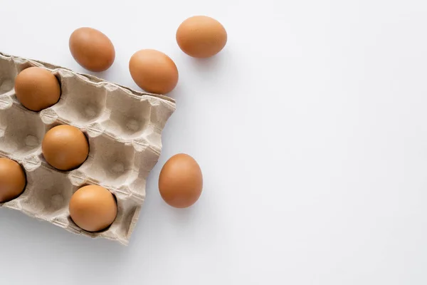 Top view of brown eggs near carton packages on white background with copy space — Stock Photo