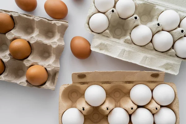 Top view of eggs and cardboard containers on white background — Stock Photo