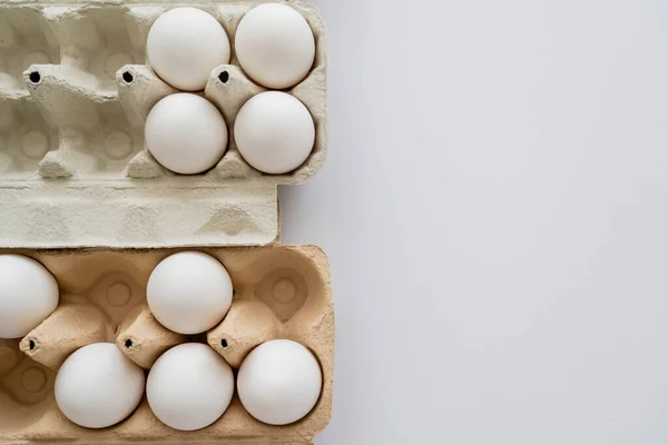 Top view of chicken eggs in trays on white background — Stock Photo