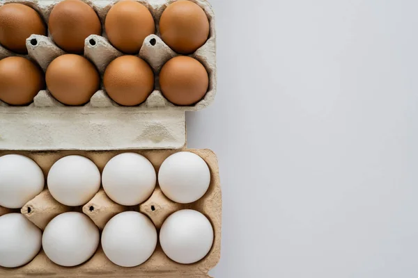 Vue du dessus des œufs de poulet frais dans des boîtes sur fond blanc — Photo de stock