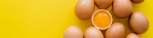 Top view of eggs near yolk in shell on yellow background, banner — Stock Photo
