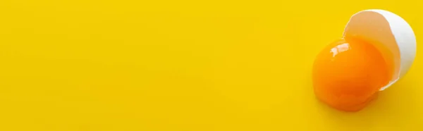 Großaufnahme von Bio-Eigelb in Schale auf gelbem Hintergrund mit Kopierraum, Banner — Stockfoto