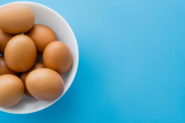 Vista superior de huevos de pollo marrón en tazón aislado en azul - foto de stock