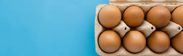 Vista dall'alto delle uova di pollo marroni in confezione di cartone isolata su blu, banner — Foto stock