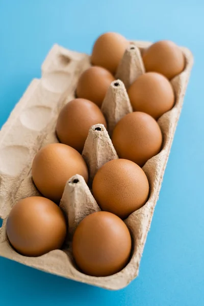 Organic chicken eggs in carton container on blue background — Stock Photo