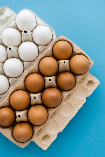 Ansicht von Hühnereiern in Pappverpackungen auf blauem Hintergrund — Stockfoto