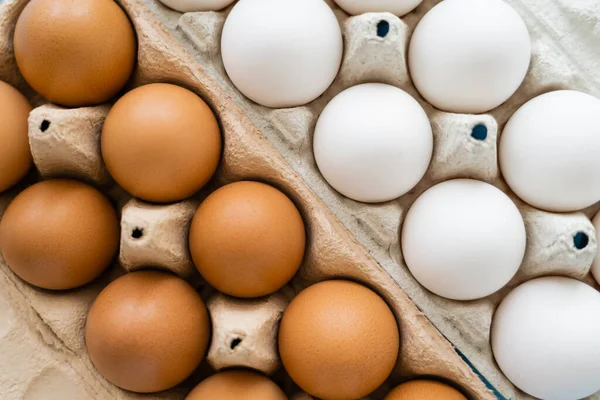 Вид сверху на коричневые и белые куриные яйца в картонных вагонах — стоковое фото