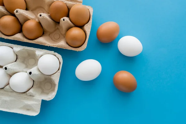 Vista superior de ovos de galinha brancos e marrons perto de recipientes de papelão em fundo azul — Fotografia de Stock