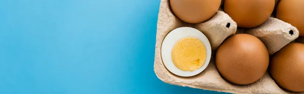 Top view of boiled and raw eggs in container on blue background, banner — Stock Photo