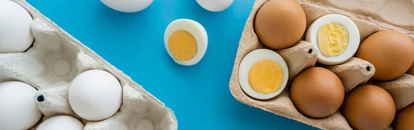 Top view of boiled and raw eggs near carton containers on blue surface, banner — Stock Photo