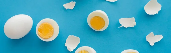 Top view of boiled eggs near while cracked shells on blue background, banner — Stock Photo