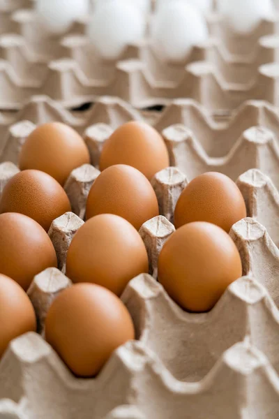 Organic fresh chicken eggs in carton tray — Stock Photo