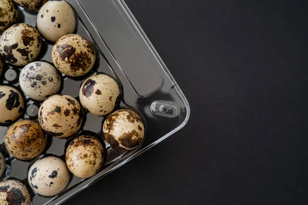 Vista superior de ovos de codorna em bandeja de plástico isolado em preto — Fotografia de Stock