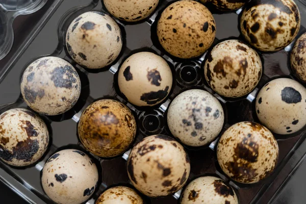 Vista superior de ovos de codorna naturais em caixa de plástico — Fotografia de Stock