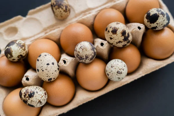 Vue du dessus des oeufs de caille et de poulet dans un plateau en carton sur fond noir — Photo de stock