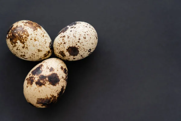 Top view of organic quail eggs on black background with copy space — Stock Photo