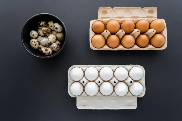 Vue du dessus des œufs de poulet et de caille dans des récipients en carton et un bol sur fond noir — Photo de stock