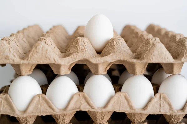 Uova in vassoi di cartone su fondo bianco sfocato — Foto stock