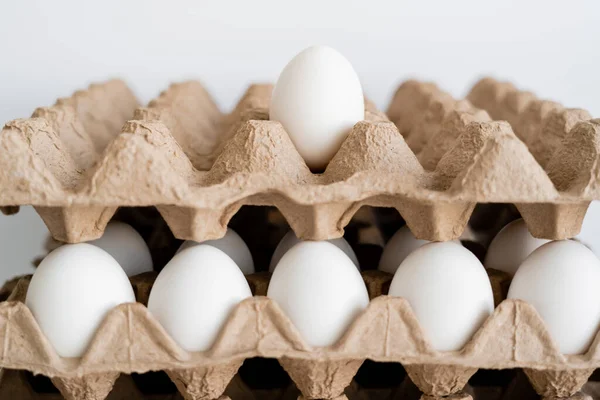 Œufs dans des plateaux en carton sur fond blanc flou — Photo de stock