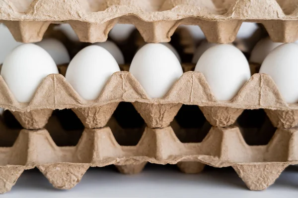 Œufs entre récipients en carton sur fond blanc — Photo de stock