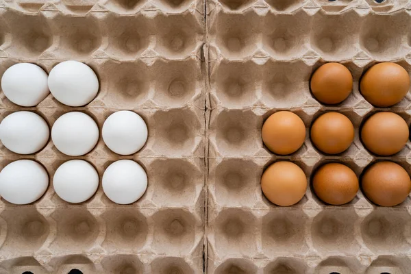 Puesta plana de huevos marrones y blancos en bandejas de cartón - foto de stock