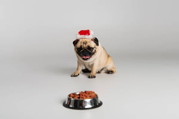 Cane pug di razza in cappello di Babbo Natale seduto vicino ciotola con cibo per animali su sfondo grigio — Foto stock