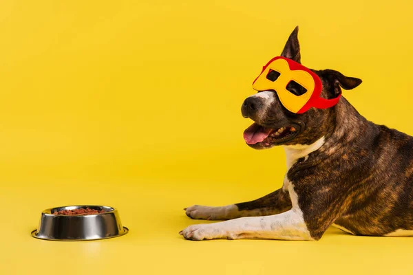 Reinrassiger Staffordshire Bullterrier in halloween-Superheldenmaske in der Nähe einer Schüssel mit Tiernahrung auf gelb — Stockfoto