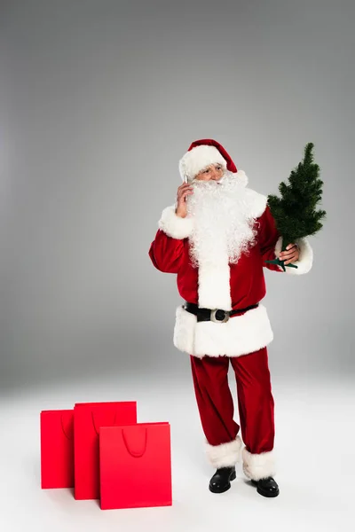 Santa Claus hablando en el teléfono inteligente y sosteniendo pequeño abeto cerca de bolsas de compras en fondo gris - foto de stock