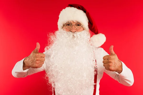 Бородатий батько Різдво показує, як жест на камеру ізольований на червоному — стокове фото