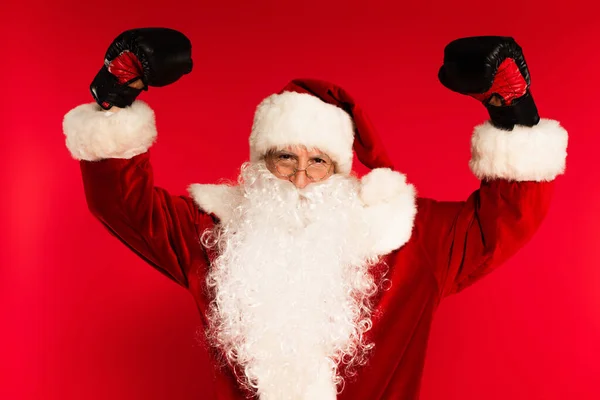 Babbo Natale in costume e guanti da boxe che mostrano i muscoli su sfondo rosso — Foto stock