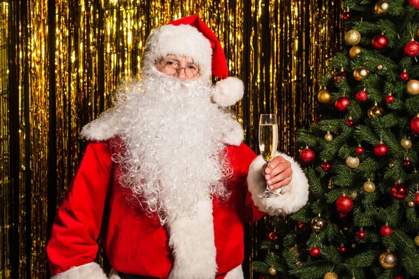 Santa claus in eyeglasses holding glass of champagne near fir tree and tinsel — Stock Photo