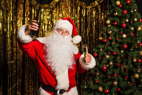 Padre Navidad celebración botella y copa de champán cerca de pino y oropel - foto de stock