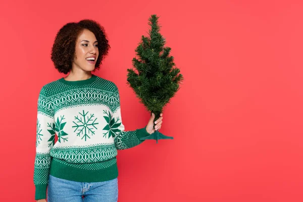 Aufgeregten afrikanisch-amerikanischen Frau in Pullover mit Wintermuster hält kleinen Weihnachtsbaum isoliert auf rot — Stockfoto