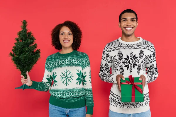 Jovem e elegante casal afro-americano com caixa de presente e pequena árvore de natal olhando para a câmera isolada no vermelho — Fotografia de Stock