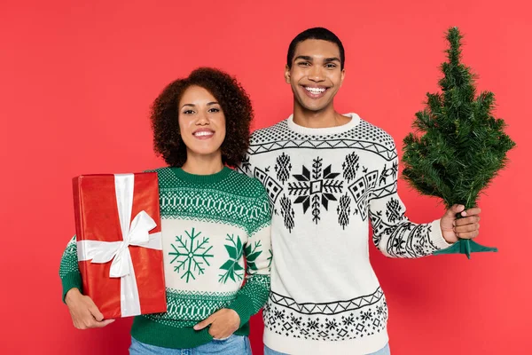Cheerful african american couple in warm sweaters holding gift box and small christmas tree isolated on red — Stock Photo
