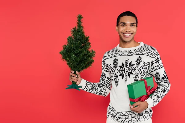 Alegre africano americano hombre en caliente elegante suéter celebración presente y pequeño árbol de Navidad aislado en rojo — Stock Photo