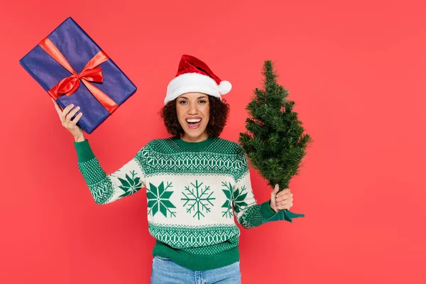 Alegre mujer afroamericana en sombrero de santa y suéter con patrón de invierno sosteniendo pequeño árbol de Navidad y caja de regalo aislado en rojo - foto de stock