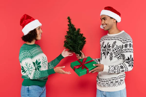 Sonriente afroamericano hombre en santa hat dando regalo y pequeño árbol de navidad a novia complacida aislado en rojo - foto de stock