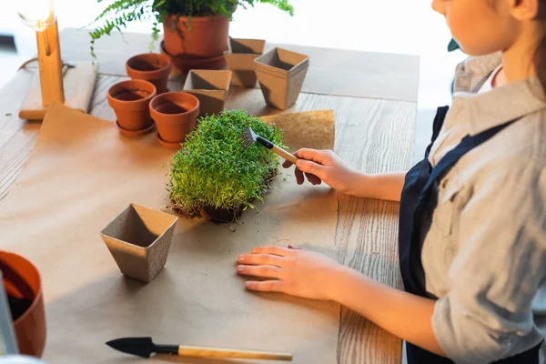 Cropped view of girl holding rake near microgreen plant and flowerpots on table — Stock Photo