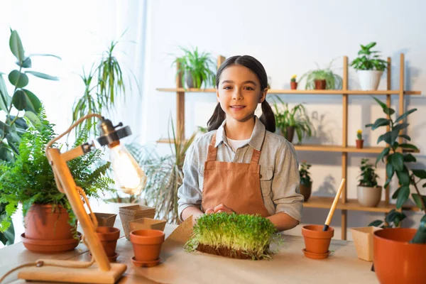 Souriante fille regardant la caméra près des plantes et des pots de fleurs à la maison — Photo de stock