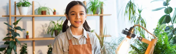 Cheerful kid in apron looking at camera near green plants and blurred lamp at home, banner — Stock Photo