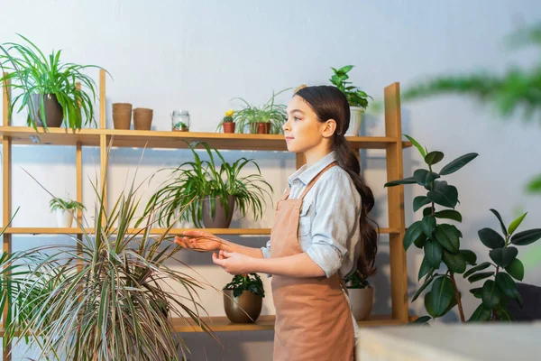 Preteen child in apron touching plant and looking away at home — Stock Photo