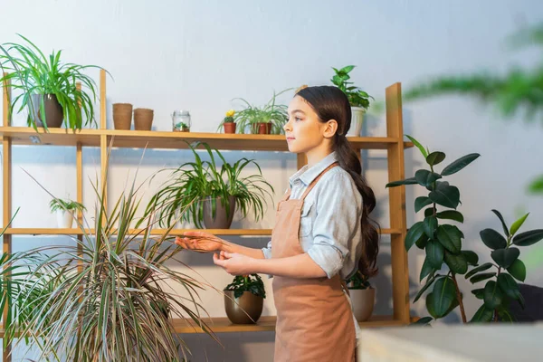 Preteen enfant dans tablier toucher la plante et regarder loin à la maison — Photo de stock