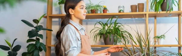 Preteen Mädchen in Schürze steht in der Nähe von Pflanzen zu Hause, Banner — Stockfoto