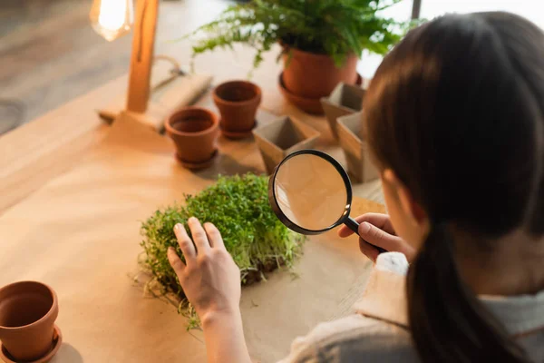 High angle view of blurred kid holding magnifying glass near microgreen at home — Stock Photo