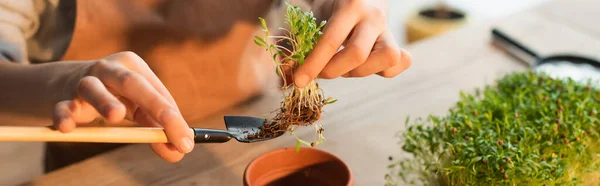 Cropped view of girl holding microgreen plant on shovel near flowerpot, banner — Stock Photo